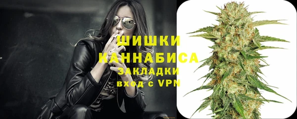 стафф Россошь