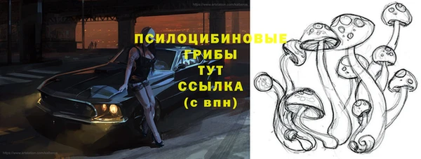 индика Баксан