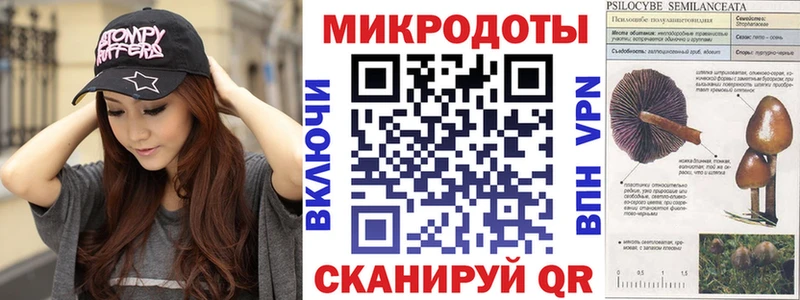 Псилоцибиновые грибы Psilocybine cubensis сколько стоит Магас